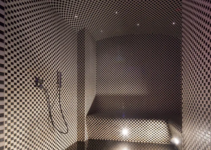 プラチヌ 4* パリ