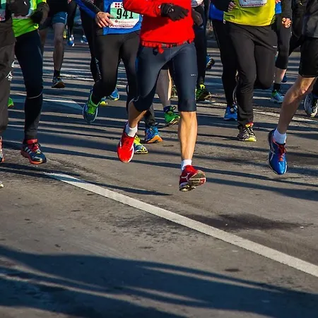Platine Hotel 4*
